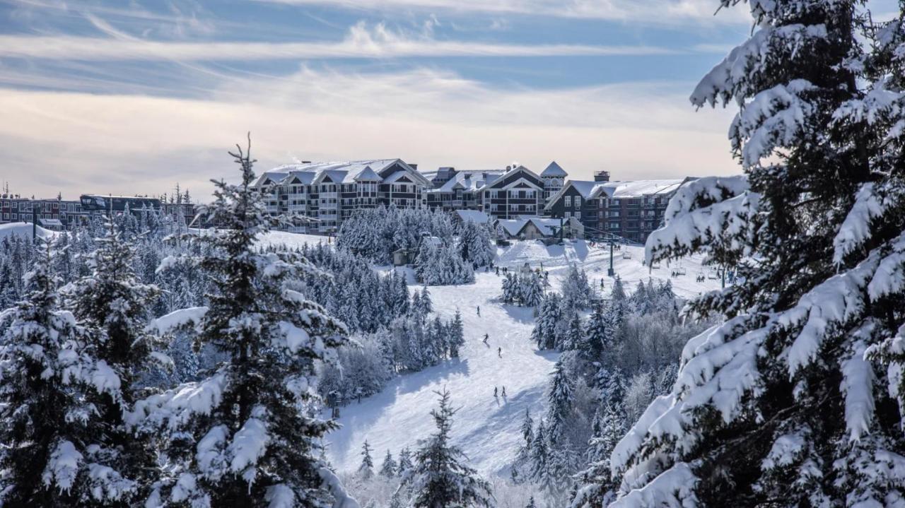 Snowshoe Ski-In & Ski-Out At Silvercreek Resort - Family Friendly, Jacuzzi, Hot Tub, Mountain Views Eksteriør billede