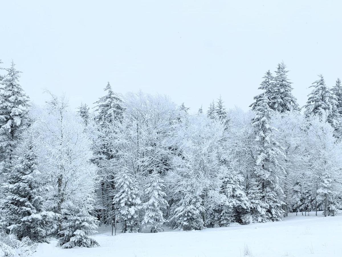 Snowshoe Ski-In & Ski-Out At Silvercreek Resort - Family Friendly, Jacuzzi, Hot Tub, Mountain Views Eksteriør billede